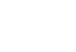 Velios Homes Logo